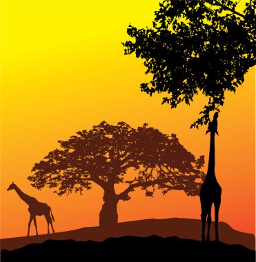 Afrika