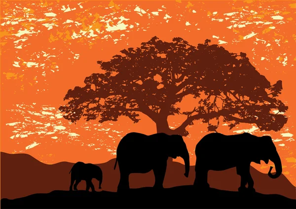 Afrika