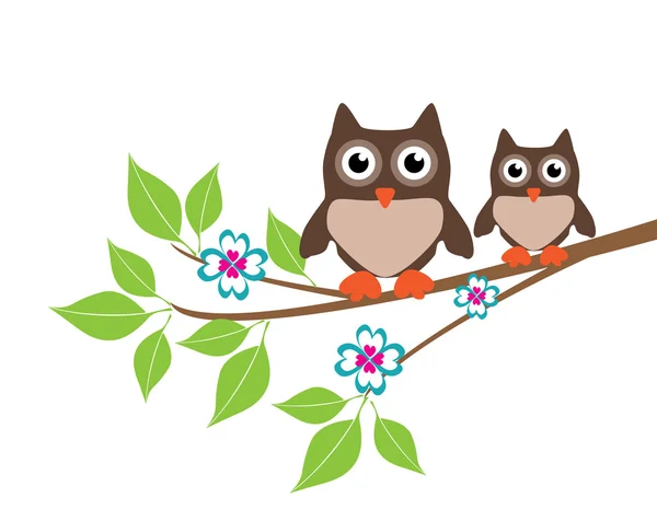 Owls — Stock Vector