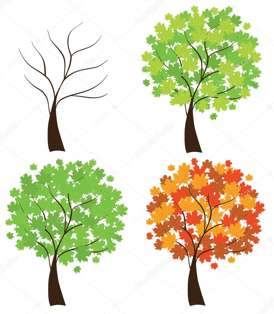 Seson Trees