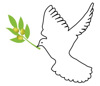 güvercin