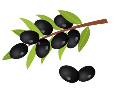 zeytin