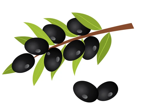 Olives — Stock Vector