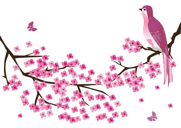 Cherry Blossom — Stock Vector