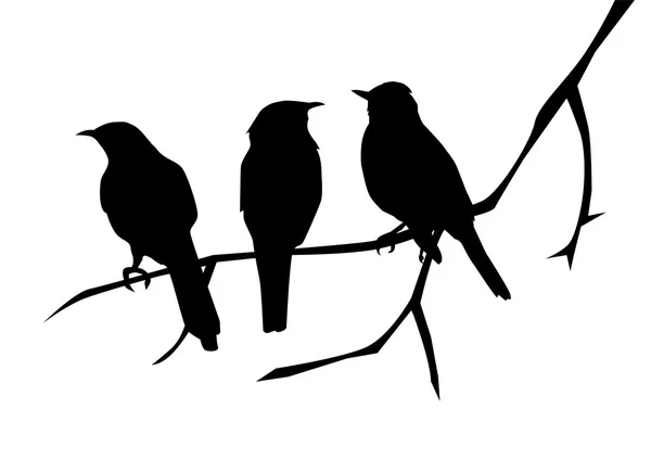 Vogels — Stockvector