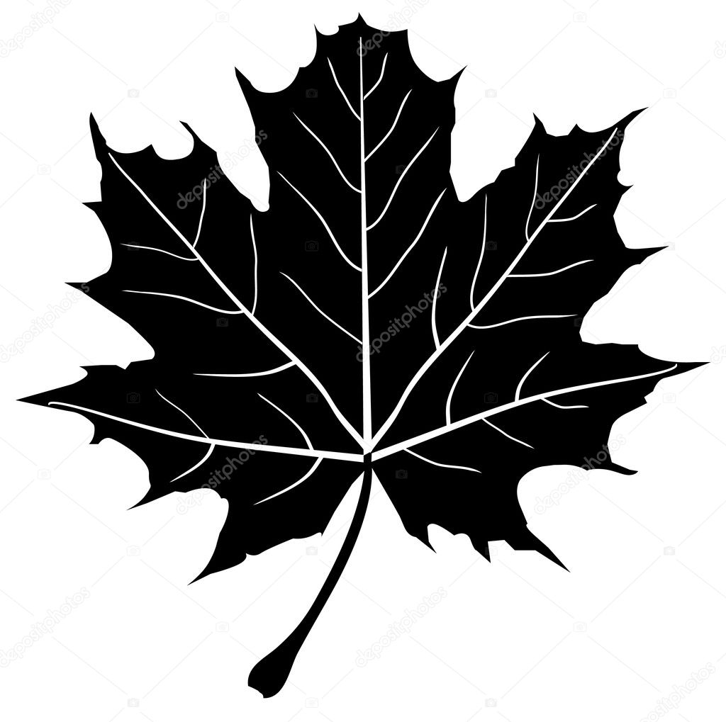 Maple Leaf Outlineストックベクター ロイヤリティフリーmaple Leaf Outlineイラスト Depositphotos Maple Leaf Outlineストックベクター ロイヤリティフリーmaple Leaf Outlineイラスト Depositphotos