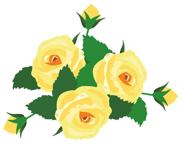 Roses — Stock Vector