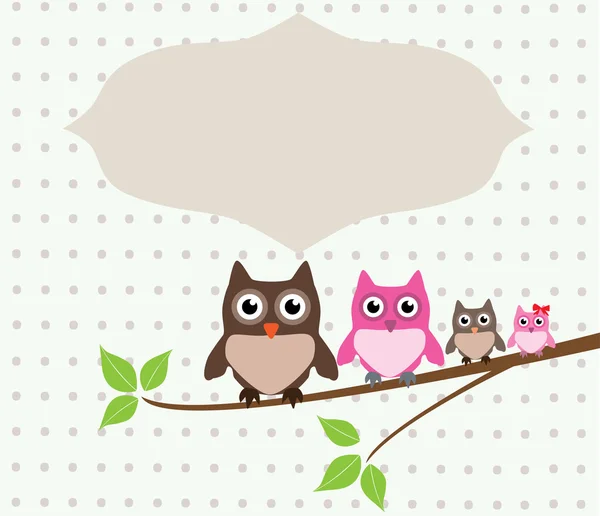 Owls — Stock Vector