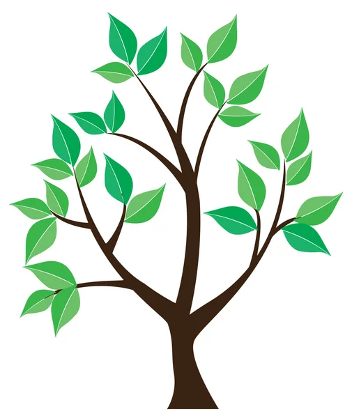 Tree — Stock Vector