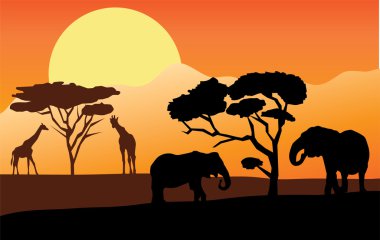 Afrika