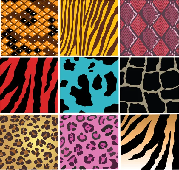 Animal Skin — Stock Vector