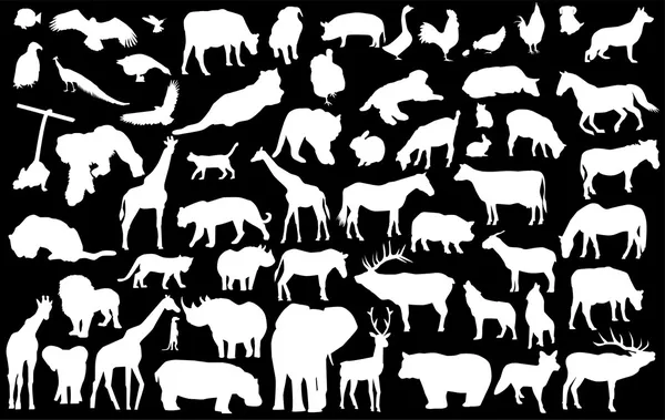 Animals — Stock Vector