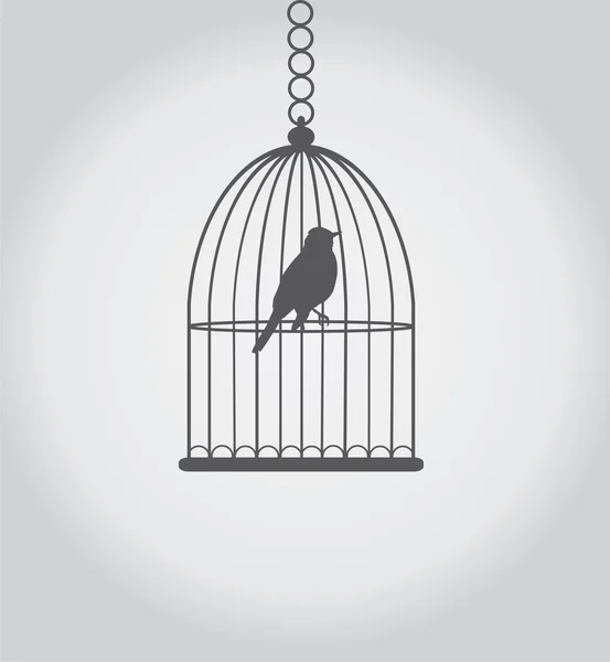 Bird Cage — Stock Vector