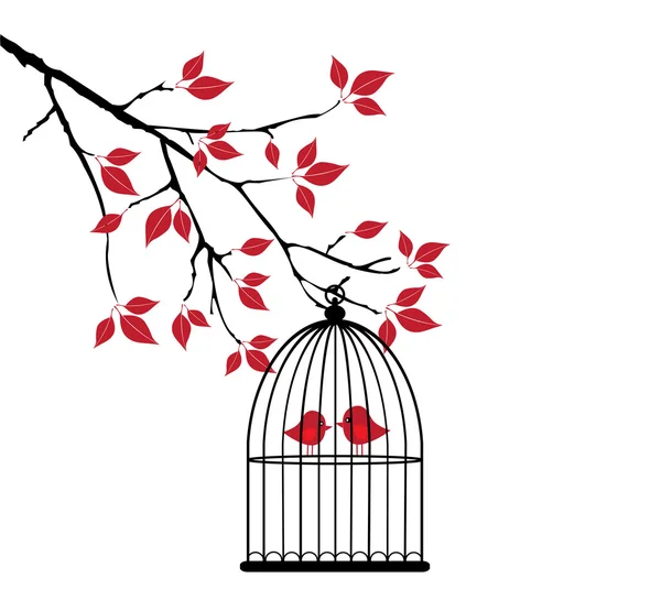 Bird Cage — Stock Vector