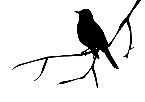 鳥 — ストックベクタ