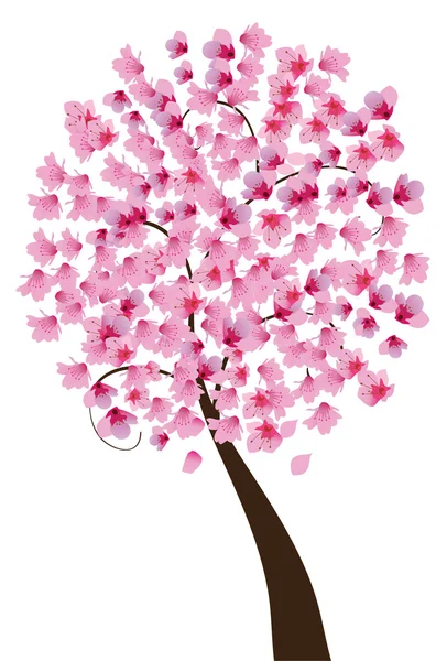 Flor de cerezo — Vector de stock