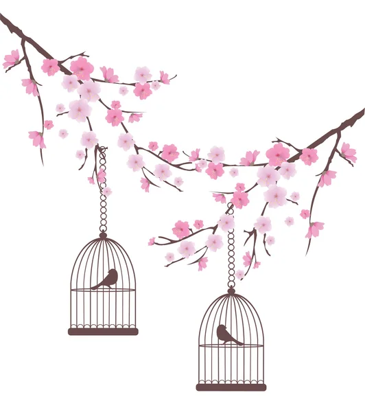 Bird Cage — Stock Photo, Image