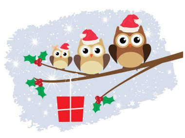 Noel Baba şapkalı bir baykuş ailesinin vektör çizimi, ağaç dalında kutsal böğürtlenler ve bir hediye..