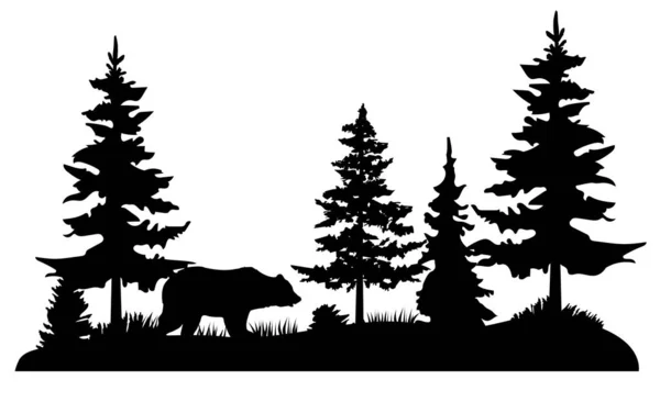 Vektor Illusztráció Egy Medve Fenyőerdőben — Stock Vector