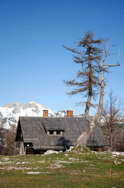 Cottage in mountains — Stock Photo, Image