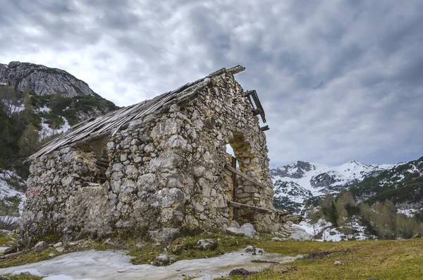 Cottage ruin — Stock Photo, Image