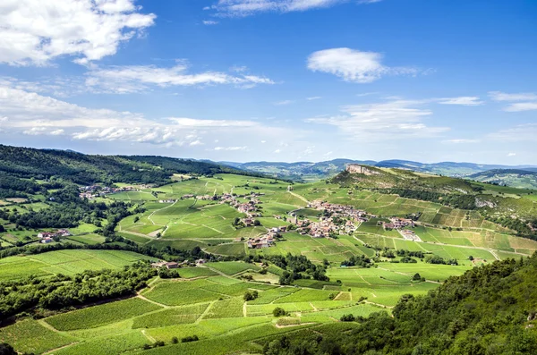 Antico borgo con vigneti — Foto Stock