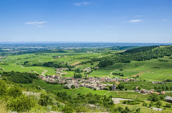Oud dorpje met wijngaarden — Stockfoto