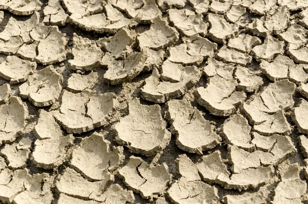 Cracked earth texture — Stock Photo, Image