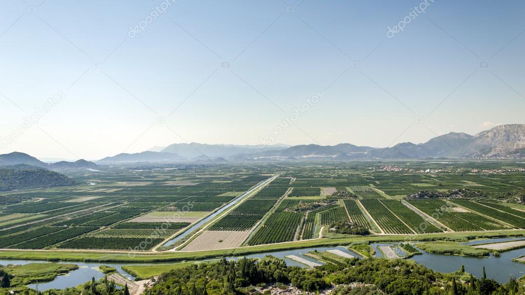 Agriculture of Neretva valley