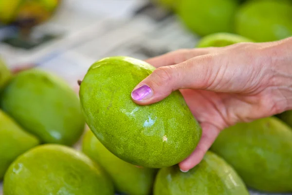 Choosing mangos at the market Royalty Free Stock Photos