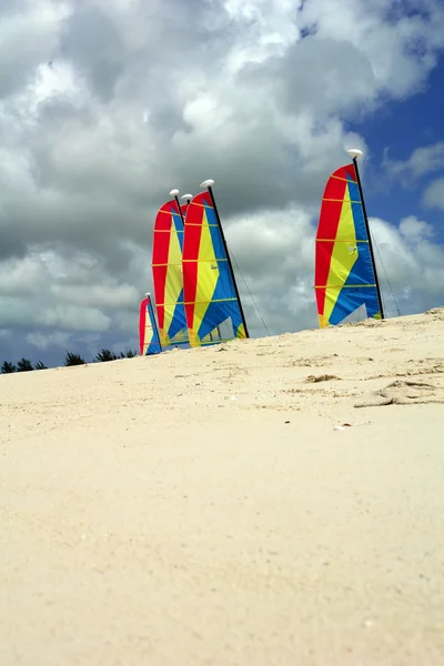 katamaran okyanus üzerinde