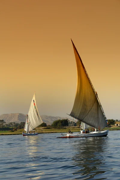 Feluccas on the Nile River — Stock Photo, Image