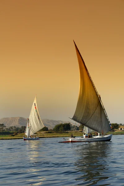 Feluccas on the Nile River Stock Image