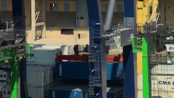 Commercial port activity — Stock Video