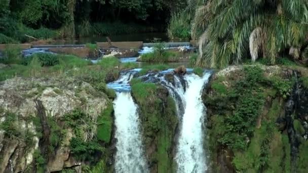 High scenic waterfalls — Stock Video