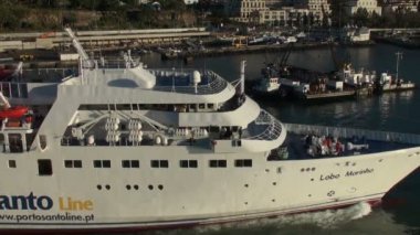 Lobo marinho feribota funchal, madeira