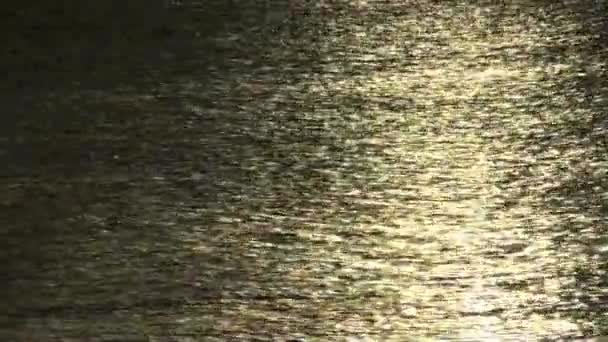 Denizin içinde ayın yansımaları; gece arka plan — Stok video
