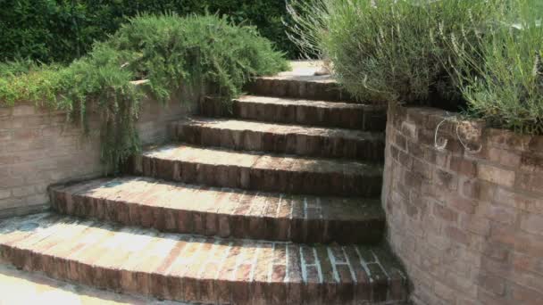 Barfota kvinna går upp en trappa i trädgården — Stockvideo