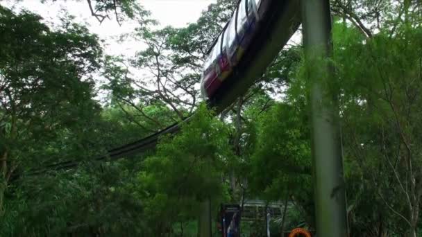 Monorailu v parku — Stock video
