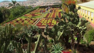 Madeira Botanik Bahçesi
