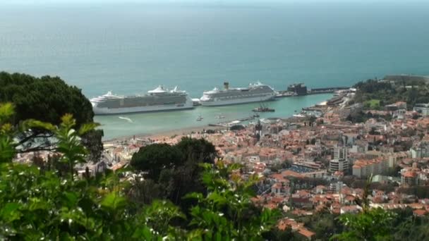 Vista de la bahía de Funchal, isla de Madeira, desde una colina — Vídeos de Stock