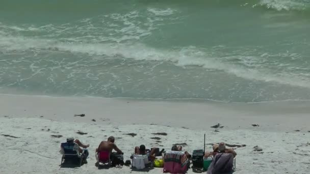 Cinco homens na praia: total relaxar — Vídeo de Stock