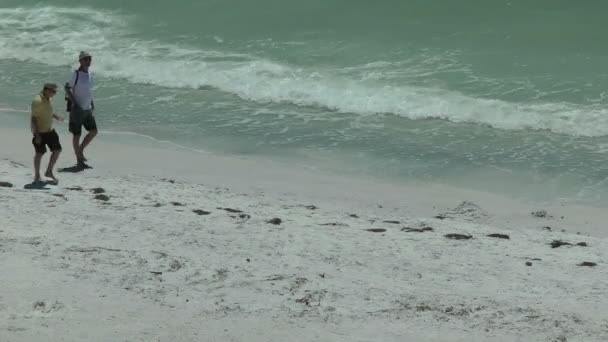 Два парня прогуливаются по пляжу — стоковое видео