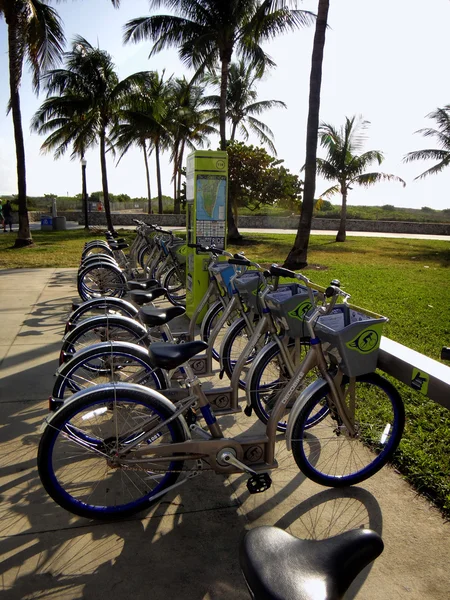 Miami decobyke bisikletler