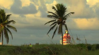 sihirli saatte miami beach