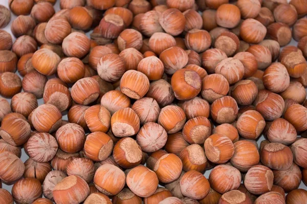 Lískového ořechu Stock Fotografie