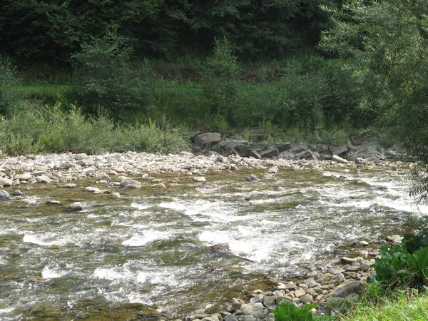 Hermoso Río Montaña Tormentoso Cárpatos Ucrania —  Fotos de Stock