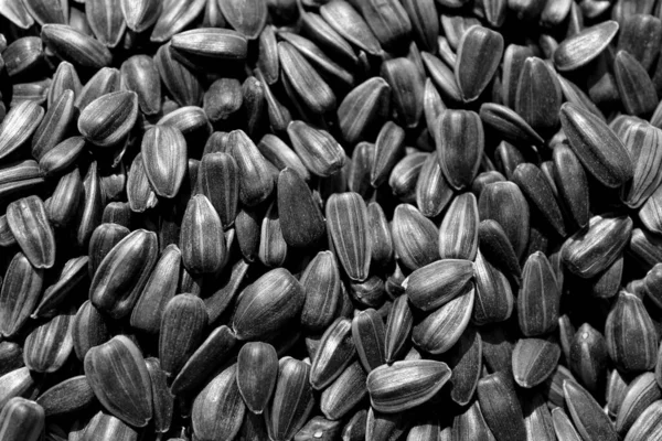 Чёрные Семечки Подсолнуха Текстуры Фона — стоковое фото