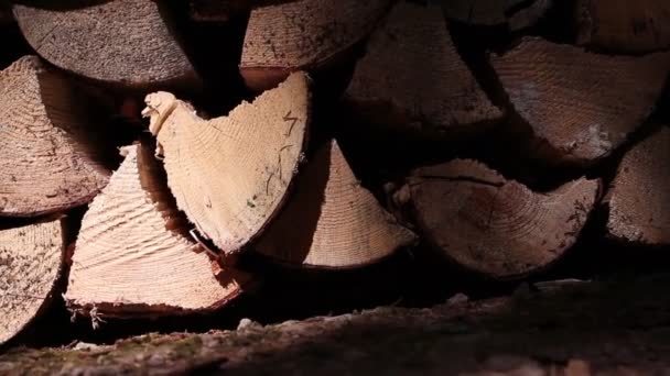 Купка подрібненої деревини, лялька — стокове відео