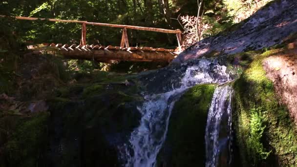 Cachoeira — Vídeo de Stock